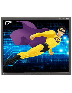 MONITOR 17  EIZO L568 USADO VESA SIN PEANA