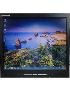 MONITOR 17  DIAMOND DV171JB USADO GRADO B SIN PIE