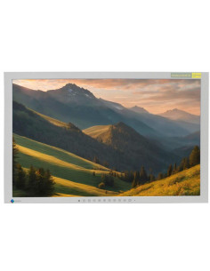 MONITOR 24  EIZO S2431W 1920X1200 D/H/V/U SIN PIE