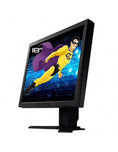 MONITOR 18  EIZO L685 USADO GRADO B