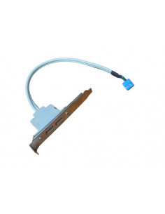 CABLE DE 9 PINES PARA EXTENSION 2 USB 2 0 EXTERNO