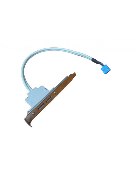 CABLE DE 9 PINES PARA EXTENSION 2 USB 2 0 EXTERNO