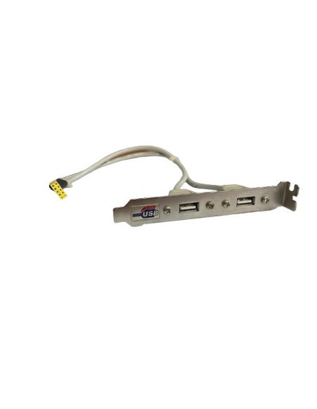 ADAPTADOR USB DE PLACA BASE