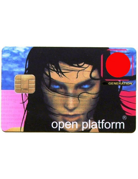 TARJETA FUNCARD-6 WAFER AT90S8515A   24C1024