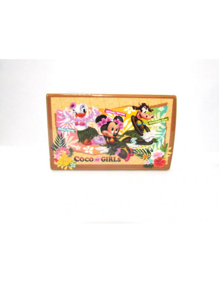 Z-OUTLET CAJA EXTERNA HDD 2 5  SATA USB2 0 SATYCON