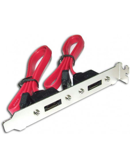 BAHIA SATA A ESATA EXTERNA X2