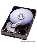 DISCO DURO HDD 3.5" IDE 250GB SEAGATE ST3250823A