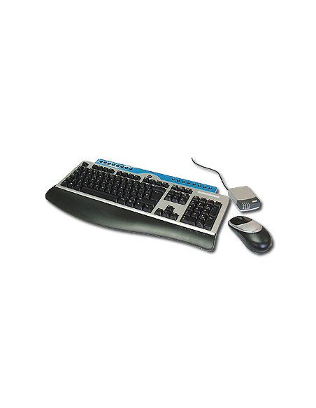 TECLADO MULTIMEDIA Y RATON USB OPTICO INALAMBRICO