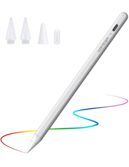 LAPIZ WORDCAM COMPATIBLE CON APPLE PENCIL 1ªG 