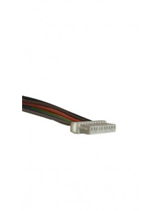 CONECTOR DOS EXTREMOS 1CMX2MM 10P / 0 8CMX2MM 8P